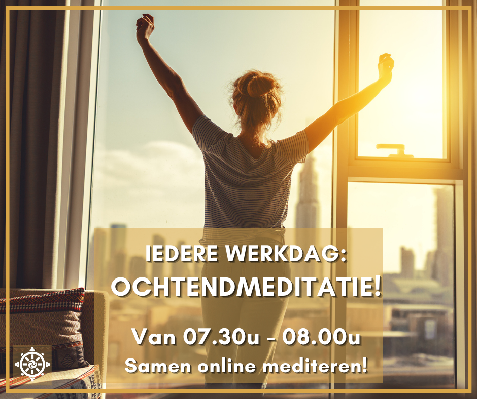 ochtendmeditaties bij recovery dharma NL iedere werkdag via ZOOM