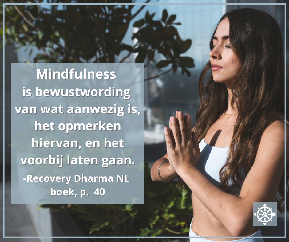 Mindfulness is bewustwording van wat aanwezig is - Recovery Dharma NL boek p.40