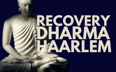 Haarlem start eigen Recovery Dharma meeting vanaf 6 januari 2024!