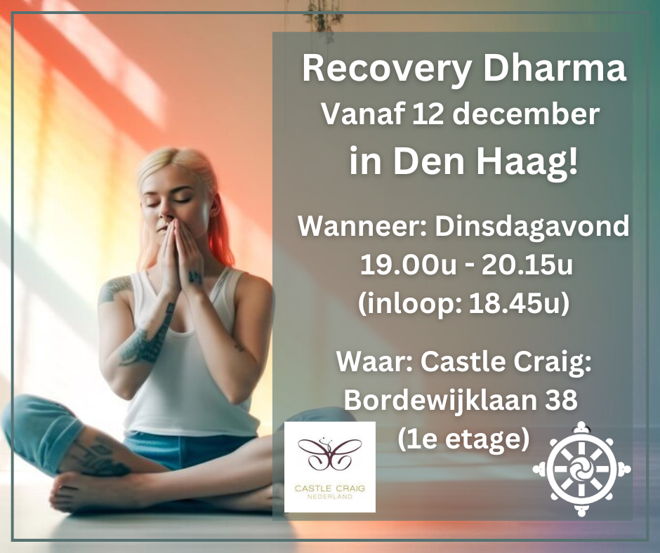 Recovery Dharma Den Haag op locatie Castle Craig