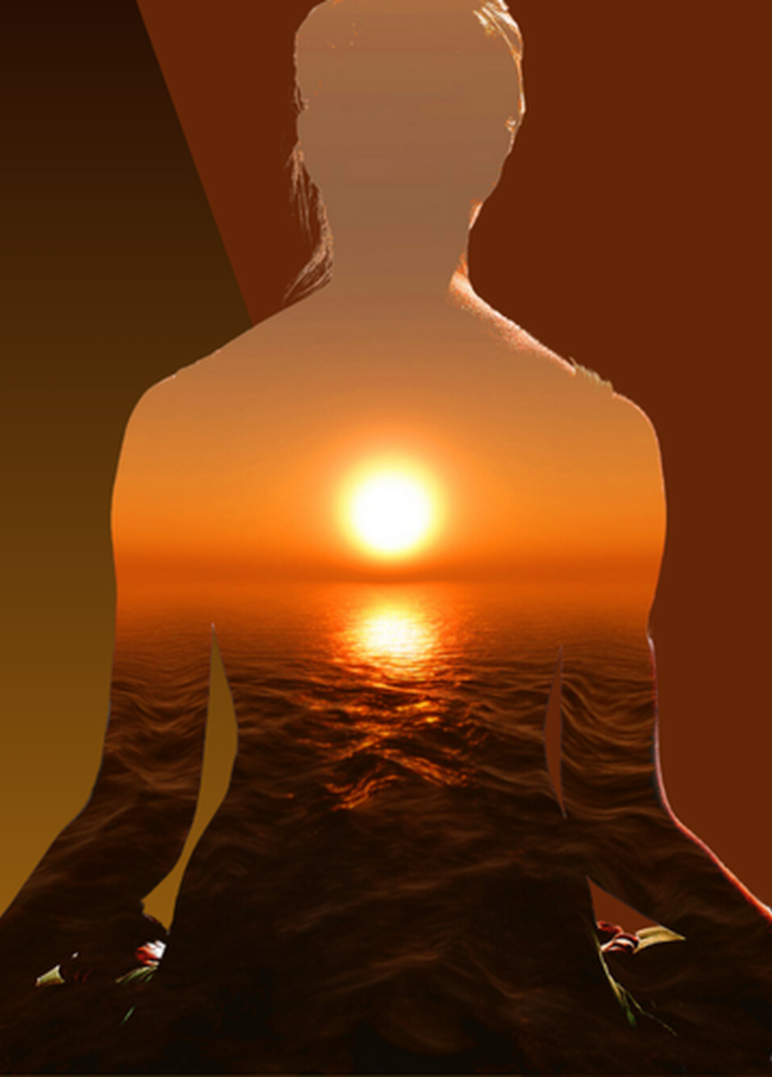 Over Recovery Dharma NL - 860x1200