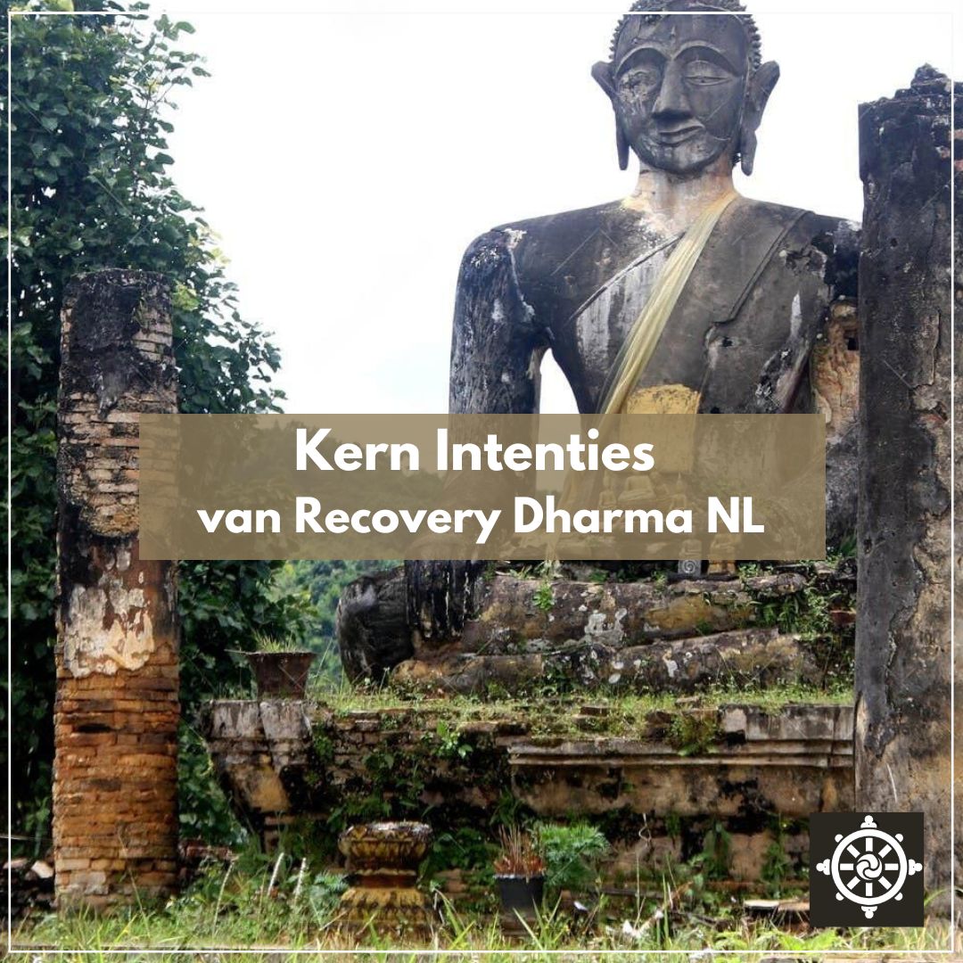 Overzicht-Kern-Intenties-van-Recovery-Dharma-NL Overzicht van de kernintenties van Recovery Dharma NL