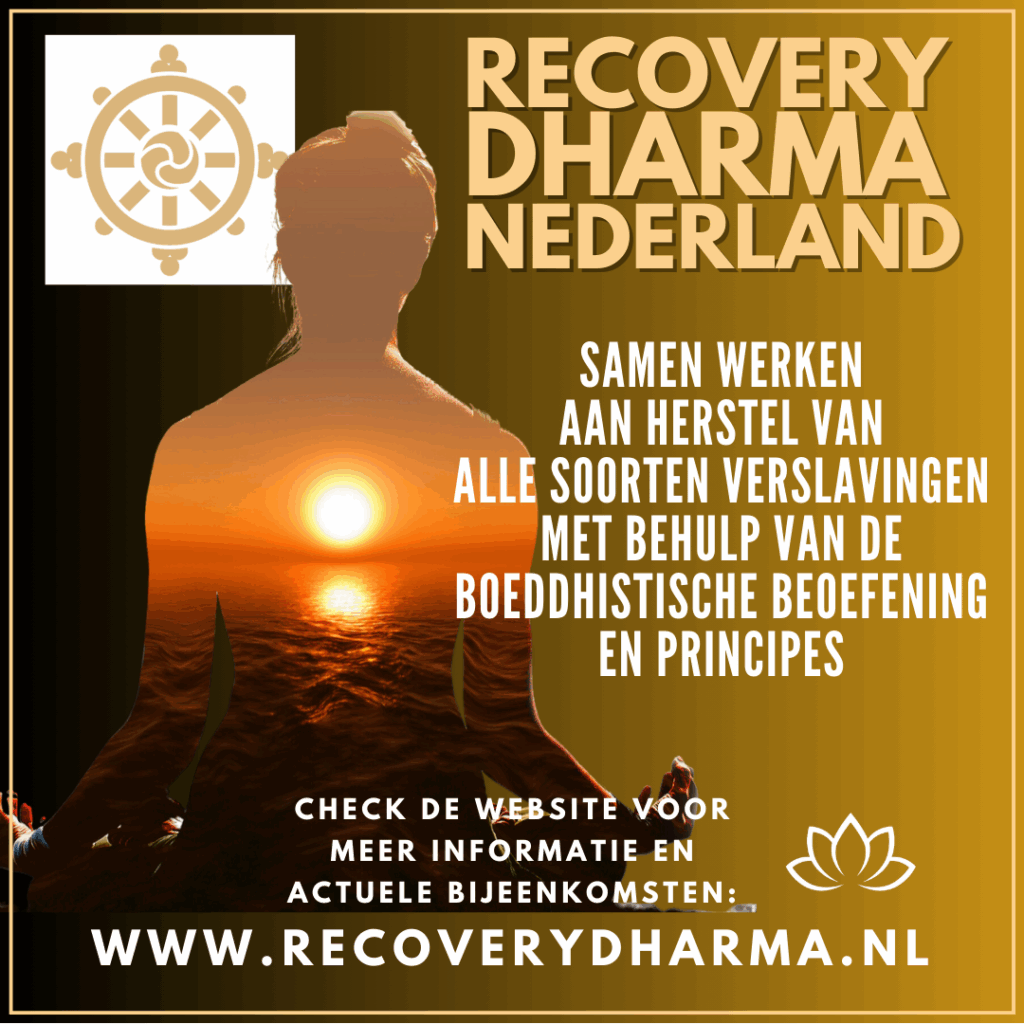 Vernieuwde website Recovery Dharma Nederland