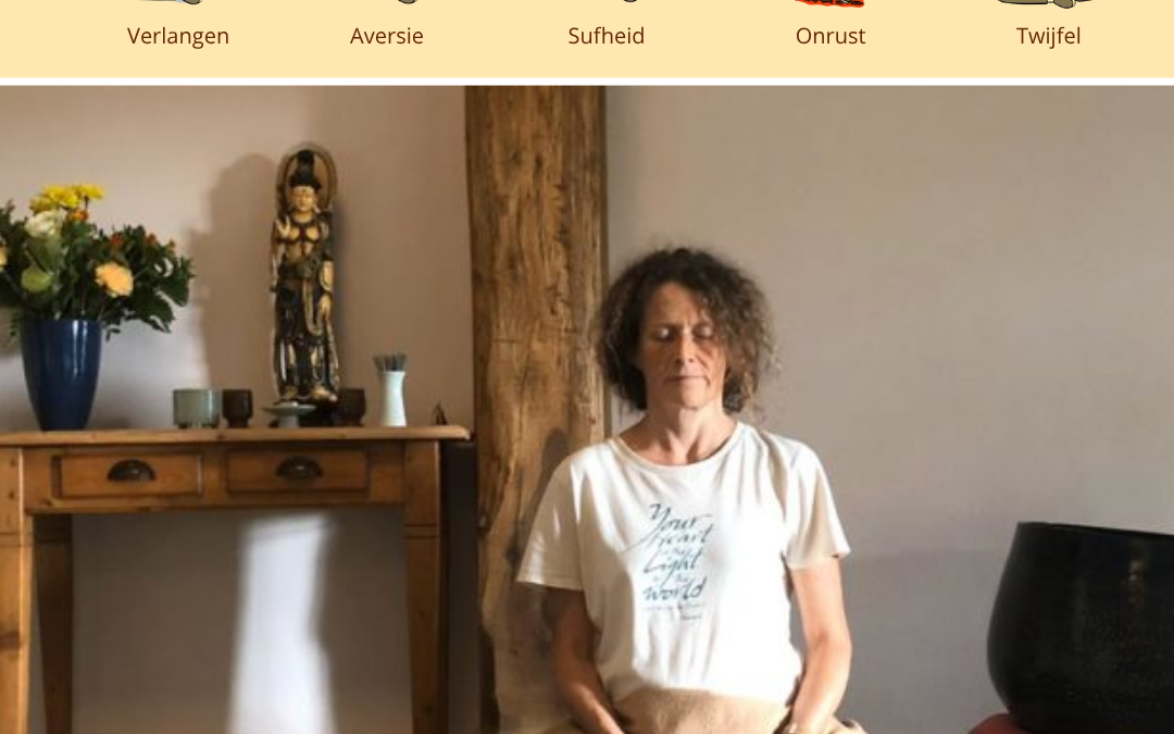 Lezing op 12 april: Ciska Matthes – Omgaan met onze hindernissen